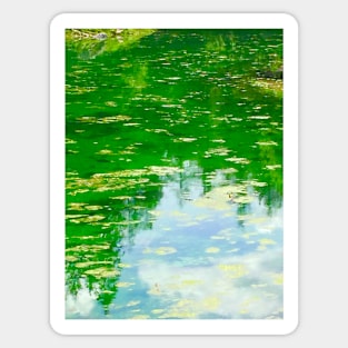 Lake with Algae Sticker